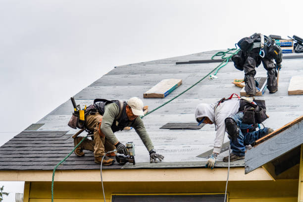 Professional Roofing technician working in Gallman, MS